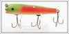 Creek Chub Rainbow Fire Darter 2031