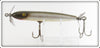 Creek Chub Silver Shiner Silver Sides