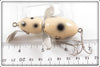 American Rivers Bait Co. White Black Spots River Bug In Box