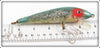 Heddon Shad Flitter Big Tiger In Box 1040 SDF