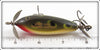 Creek Chub Frog Baby Injured Minnow With Shakespeare Props