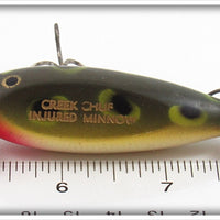 Creek Chub Frog Baby Injured Minnow With Shakespeare Props