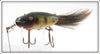 Creek Chub Perch Dinger 5601