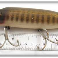 Creek Chub Pikie Scale Striper Pikie 6900
