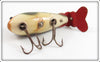 Creek Chub Tan Crab Crawdad 315