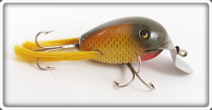 Vintage Creek Chub Golden Shiner Dingbat Lure 5104