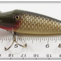 Creek Chub Chub Scale River Scamp 4300