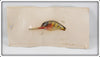 Mercer Tackle Co. Perch Laddie Deep Whizzer On Card