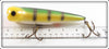 Legend Lures Perch 5 1/2" Super Eye Popper