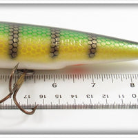 Legend Lures Perch 5 1/2" Super Eye Popper