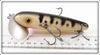 Arbogast Black & White Coachdog Wooden Musky Jitterbug