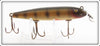 Vintage Creek Chub Perch Early Round Nose Pikie Lure