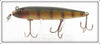 Creek Chub Perch Early Round Nose Pikie