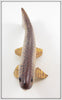 Carl Christiansen Brown Trout Decoy In Box
