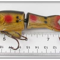 Shakespeare Photo Finish Strike It