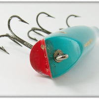 Creek Chub Mullet Darter