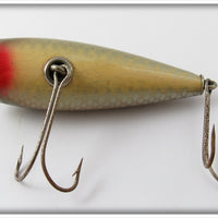 Creek Chub Silver Shiner Open Mouth Shiner