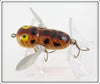 Heddon Brown Crawdad BRS Tiny Crazy Crawler