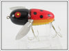 Heddon Red & Black Ladybug Crazy Crawler