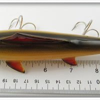 Contemporary Possible Macatawa Yellow Scale Finned Minnow