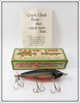 Creek Chub Redside Dace Injured Minnow In Correct Box 1505