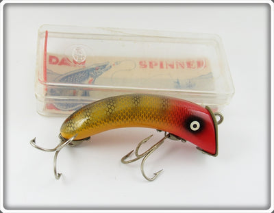 Vintage Dam Perch Hump Back Minnow Lure In Box