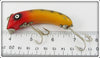 Dam Perch Hump Back Minnow Lure In Box