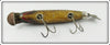 Creek Chub Fisherman Altered Intro Pikie With Tail