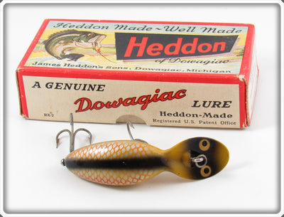 Vintage Heddon Golden Shiner Tadpolly Spook In Box 9000 PG 