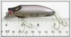 Heddon Shiner Scale Early River Runt Spook Floater 9409P