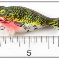Heddon Natural Perch Salesman Sample Top Sonic 300 LC