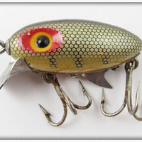 Clark's Perch Water Scout In Yellow Fin Chub Box