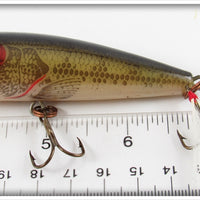 Rebel Naturalized Bass Pop R In Box