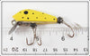 Dyna Tackle Co Yellow Black Dot Lure In Box