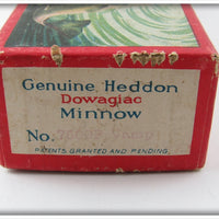 Heddon Shiner Scale Vamp Empty Box