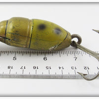 Creek Chub Fisherman Altered Green Beetle