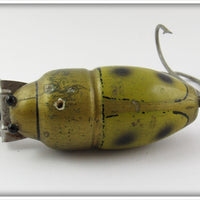 Creek Chub Fisherman Altered Green Beetle