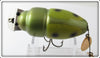 Creek Chub Green Beetle