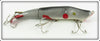 C. C. Roberts Bait Company Natural Mud Puppy In Box