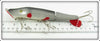 C. C. Roberts Bait Company Natural Mud Puppy In Box