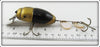 Creek Chub Gold Beetle
