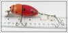 Creek Chub Orange Beetle