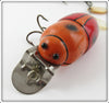 Creek Chub Orange Beetle