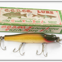 Vintage Creek Chub Golden Shiner Snook Pikie Lure 3404 In Box
