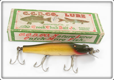 Vintage Creek Chub Golden Shiner Snook Pikie Lure 3404 In Box
