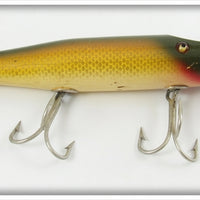 Creek Chub Golden Shiner Snook Pikie 3404 In Box