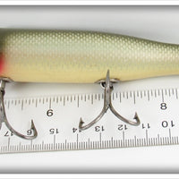 Creek Chub Silver Shiner Snook Pikie 3403