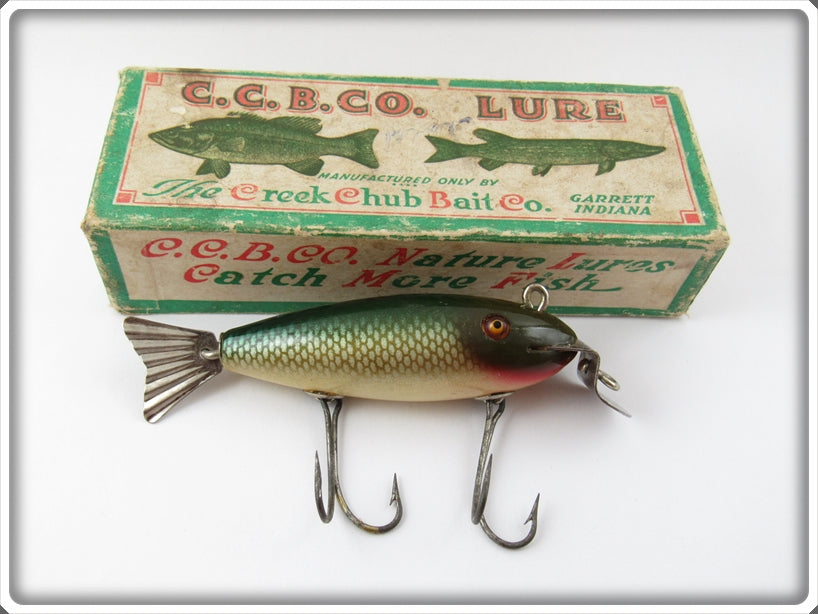 Vintage Creek Chub Chub Finish Wagtail Lure In Box 800