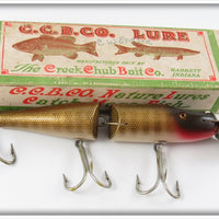 Creek Chub Pikie Scale Jointed Husky Pikie 3000 Lure In Box