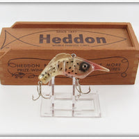 Heddon Amber Pearl Craw Shrimp 375 AMP In Wood Box